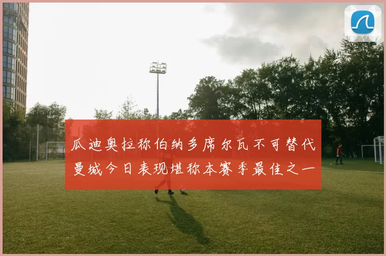 瓜迪奥拉称伯纳多席尔瓦不可替代曼城今日表现堪称本赛季最佳之一